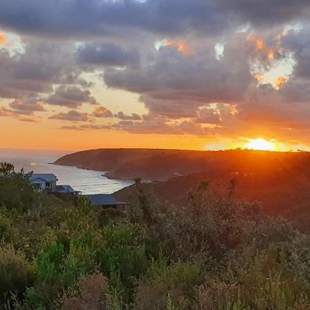 Hakuna Matata Wilderness Luaran gambar
