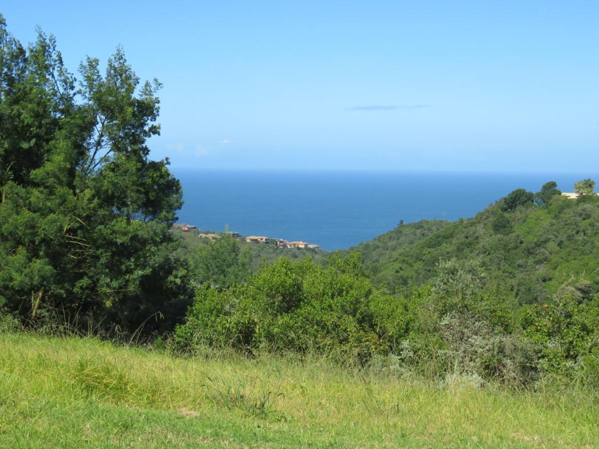Hakuna Matata Wilderness Luaran gambar